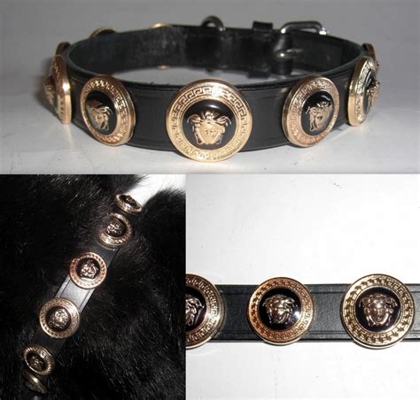 versace dog collar|versace dog accessories.